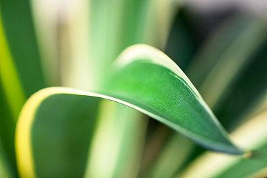 生存建设类游戏《童话的子民》Steam页面上线 第四季度发售